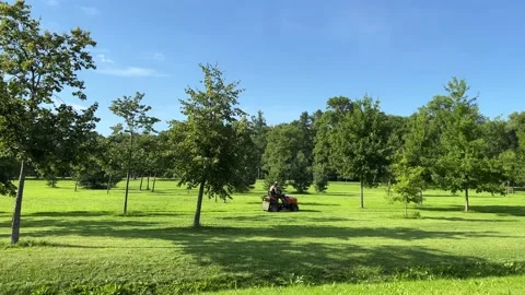 The lawn mower mows the grass in the park. Stock-Footage 229485114