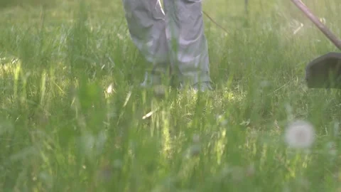 Lawn mower mows green grass, close-up Stock Footage 132220064