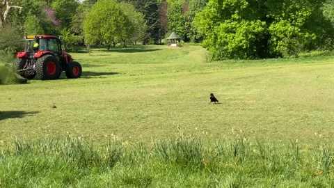 Lawn mower in the park in summertime 스톡 동영상 132646046