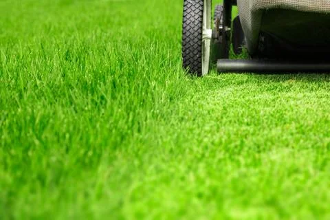 Lawn mower Stock Photos