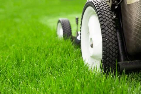 Lawn mower Stock Photos