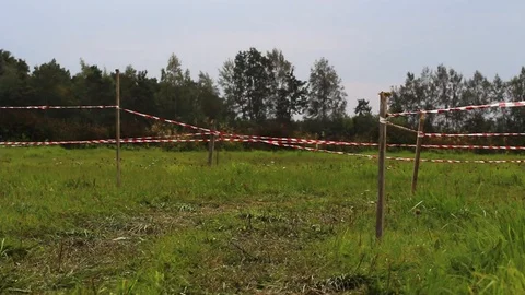 Lawn mower race Stock Footage 116799249