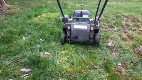 Lawn Mower Rear View- Engine Pitch Shifts While Cutting to Full Stop -- Wide Sho Stock Footage 336946820