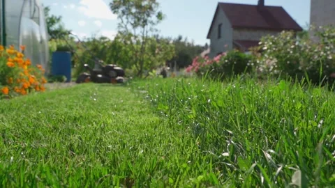 Lawn mower standing on green grass in backyard with country house and flowers Видео 342940933