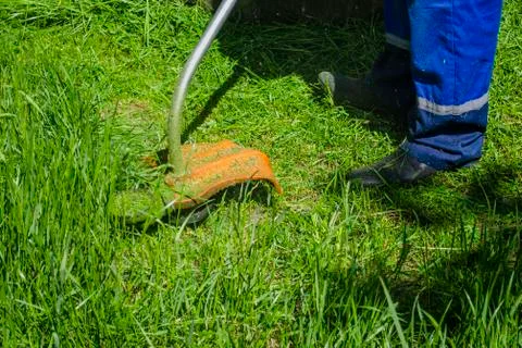 Lawn mower at work, a working man mows high grass cares for gozon. Grass-cutt Stock Photos