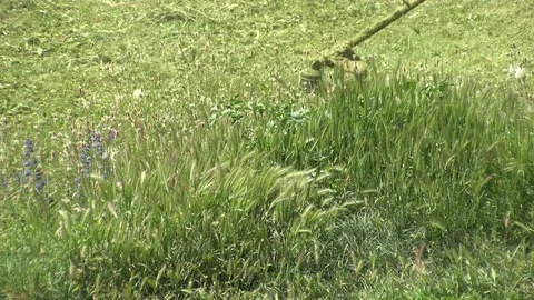 Lawn mower worker man cutting grass in green field, close up Stock Footage