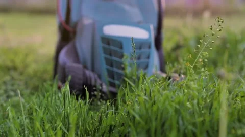 The lawn mower is working in the backyard Vidéo 242314845