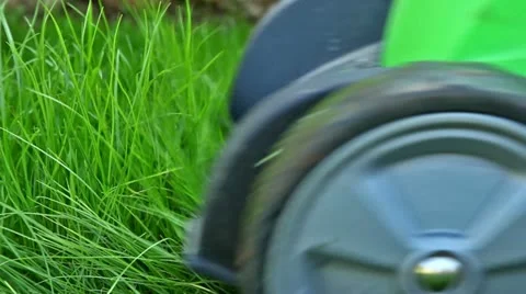 Lawn mowing, close up Stock Footage 22117461