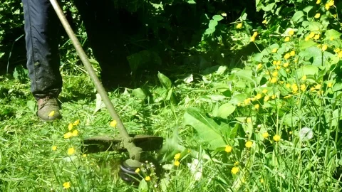 Lawn mowing Stock Footage 91217291