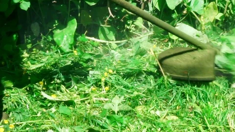 Lawn mowing Stock Footage 91217484
