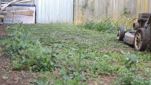 Lawn Mowing 스톡 동영상 105201324