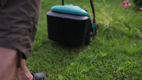 Lawn mowing Stock Footage 109380906