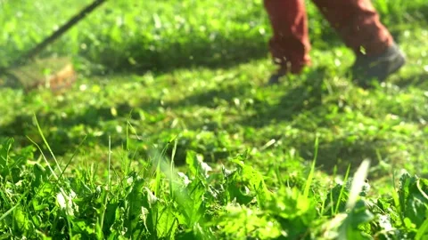 Lawn mowing. Stock Footage 168571522