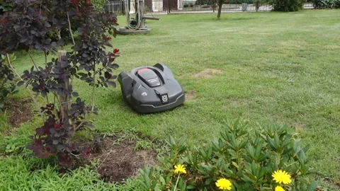 Lawn mowing robot Vídeos de archivo 159565802