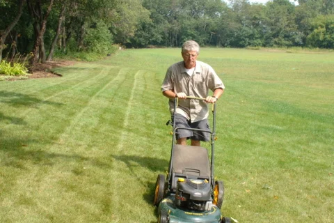 Lawn Mowing Time Lapse Stock Footage 332363