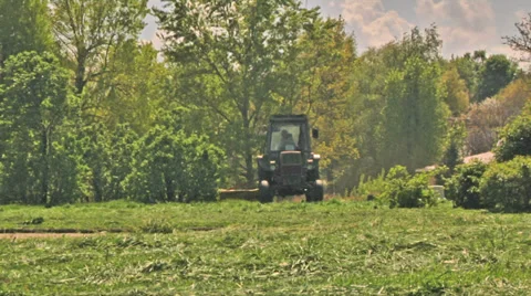Lawn Mowing Time Lapse Stock Footage 37776383