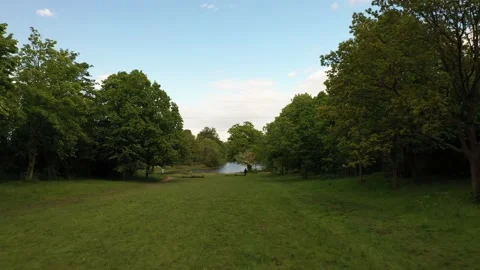 Lawn in park surrounded by rows of trees Stock Footage 159154763