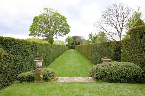 A lawn pathway between two hedges in an English country garden Stock Photos