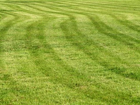Lawn Stock Photos