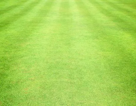 Lawn Stock Photos