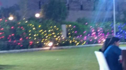 Lawn 写真素材