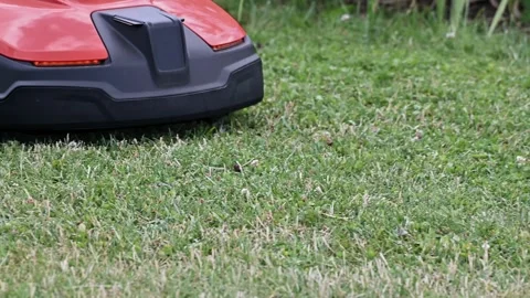 The lawn robot mows the lawn. A robotic lawn mower cuts the grass in the ga.. Stock Footage 252118275