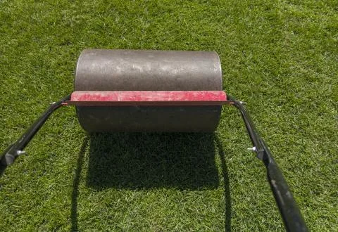 Lawn Roller in action. Manual tools for lawn maintenance activities Stock Photos