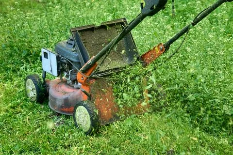 Lawn service.Summer grass cutting with handle mower Foto stock