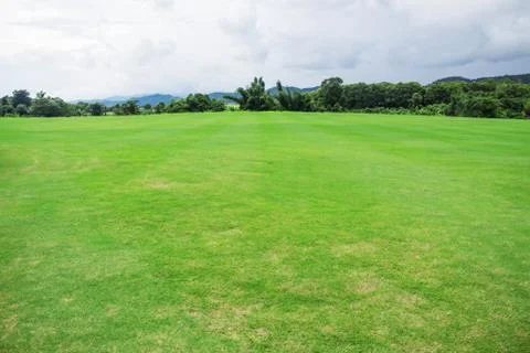 Lawn with the sky. Stock Photos