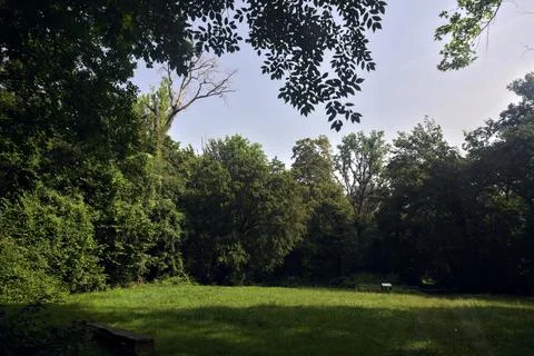 Lawn with splitting paths bordered by trees in a park on a sunny day in the.. Stock Photos