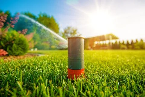 Lawn Sprinkler in Action Stock-Fotos