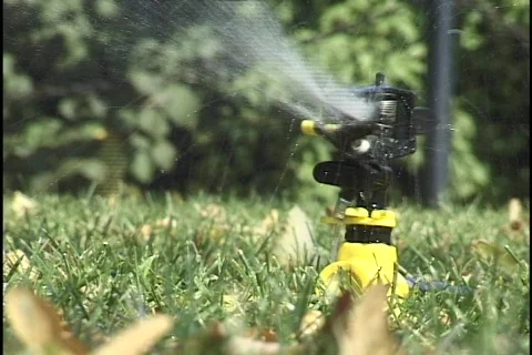 Lawn Sprinkler Stock Footage 297829