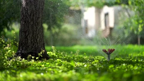 Lawn Sprinkler Stockbeeldmateriaal 158320640