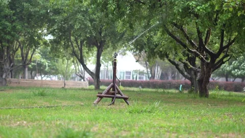 Lawn sprinkler irrigation Stock Footage 154446415