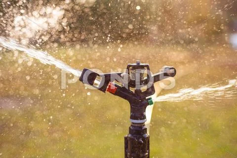 Lawn sprinkler spraying water over green grass Stock Photos