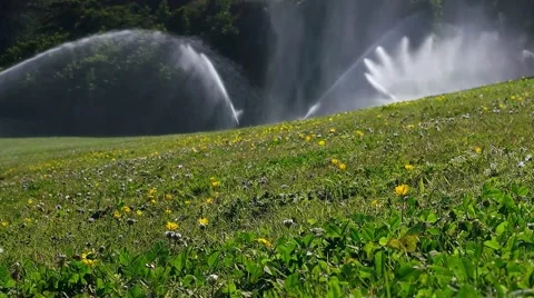 Lawn Sprinkler's Stock Footage 49667247