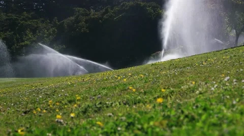 Lawn Sprinkler's Stock Footage 49667648