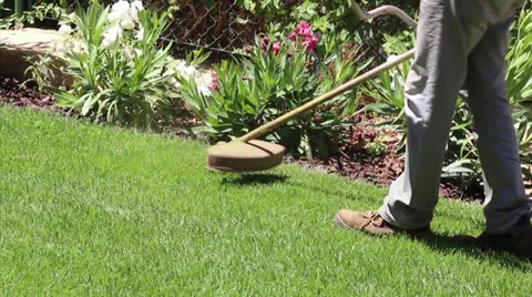 Lawn string trimmer cutting border A Stock-Footage 26987549