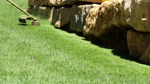 Lawn string trimmer cutting border B2 Stock Footage 26992409