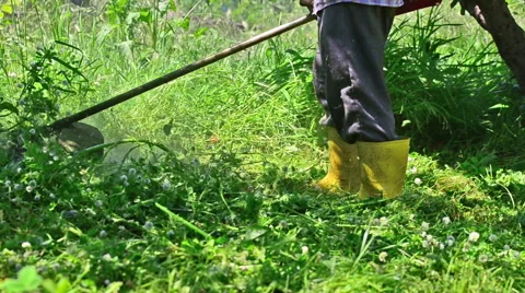 Lawn String Trimmer Video stock 63219912