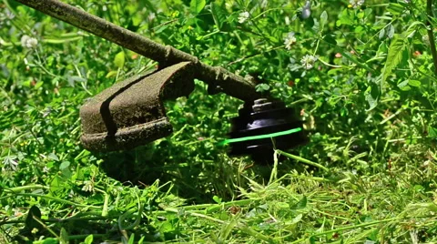 Lawn String Trimmer Video stock 63220246