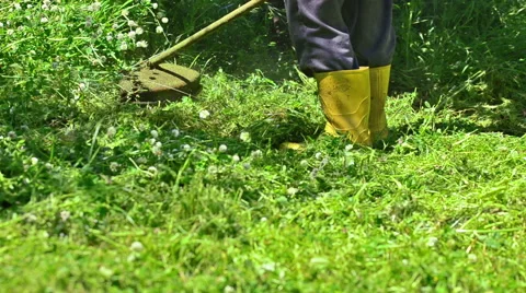 Lawn String Trimmer Stock Footage 63220588