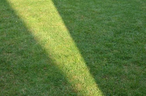 Lawn with sunlight Stock Photos