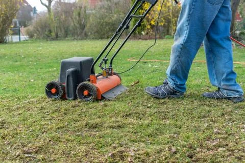 Lawn thatcher in action Stock Photos