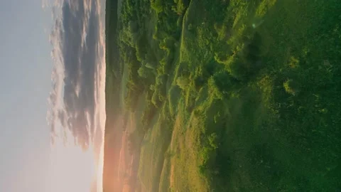 Lawn with trees at sunset Stock Footage 202732695