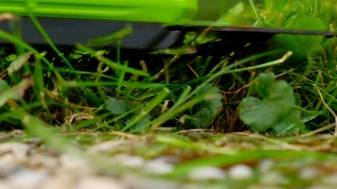 Lawn trimmer.process of cutting grass close-up. Stock Footage 269058386