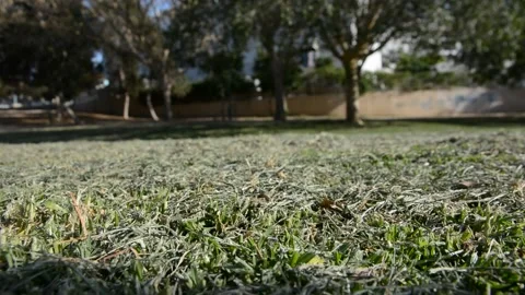 Lawn view with mowed grass close up. Landscape with green grass. Видео 130372332