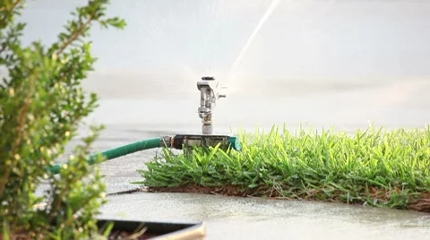 Lawn Water Sprinkler Video stock 8516632