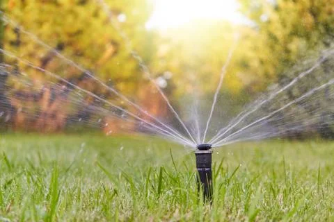 The lawn is watered by an automatic watering system in the garden Stock Photos