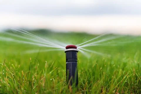 Lawn watering with automatic irrigation system with a sprinkler. Stock Photos